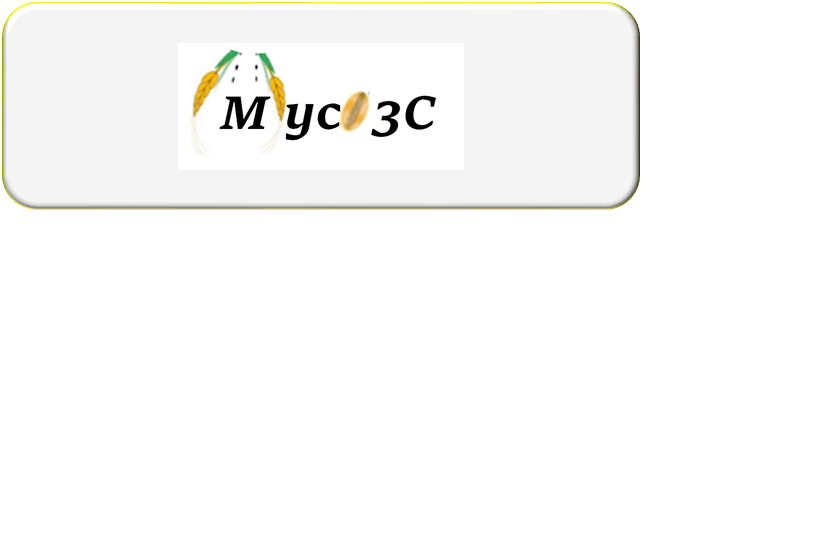 Projet Myco3C 2020-2023