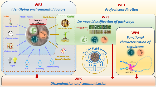 ANR project DYNAMICs