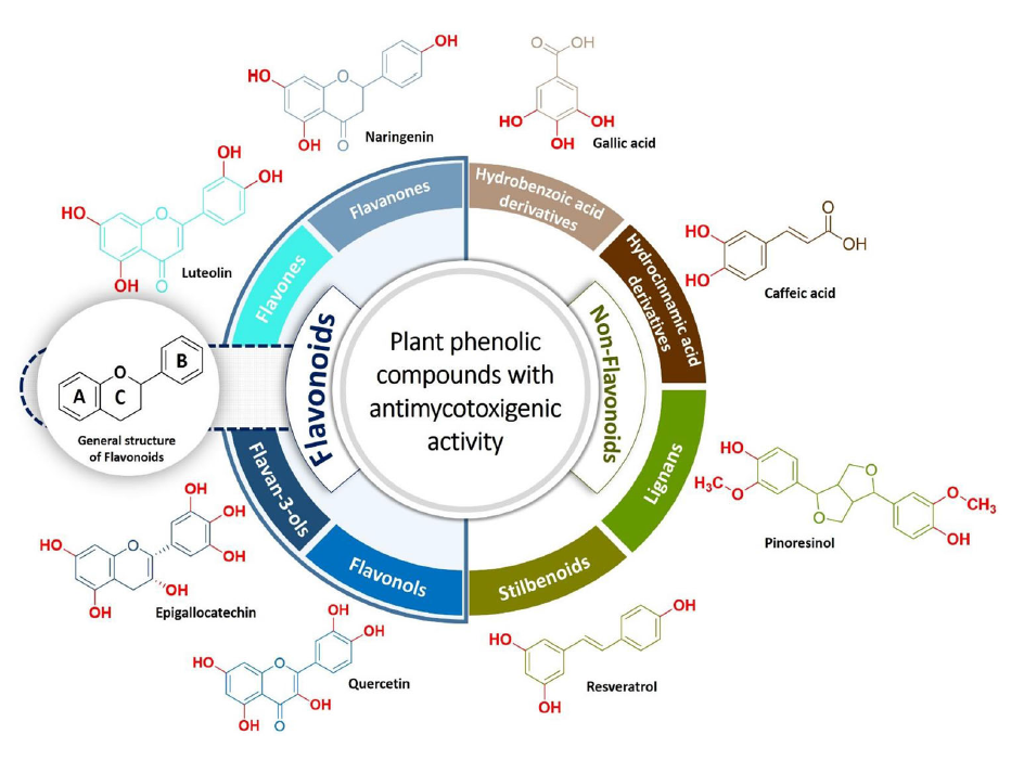 Antomycotoxin plant phenolic compounds