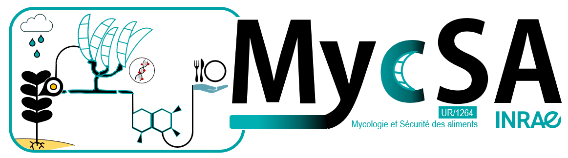 Projets de recherche de MycSA, financés par des fonds publics